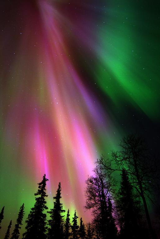 Lapland Northern Lights Hotel Ilveslinna رانوا المظهر الخارجي الصورة