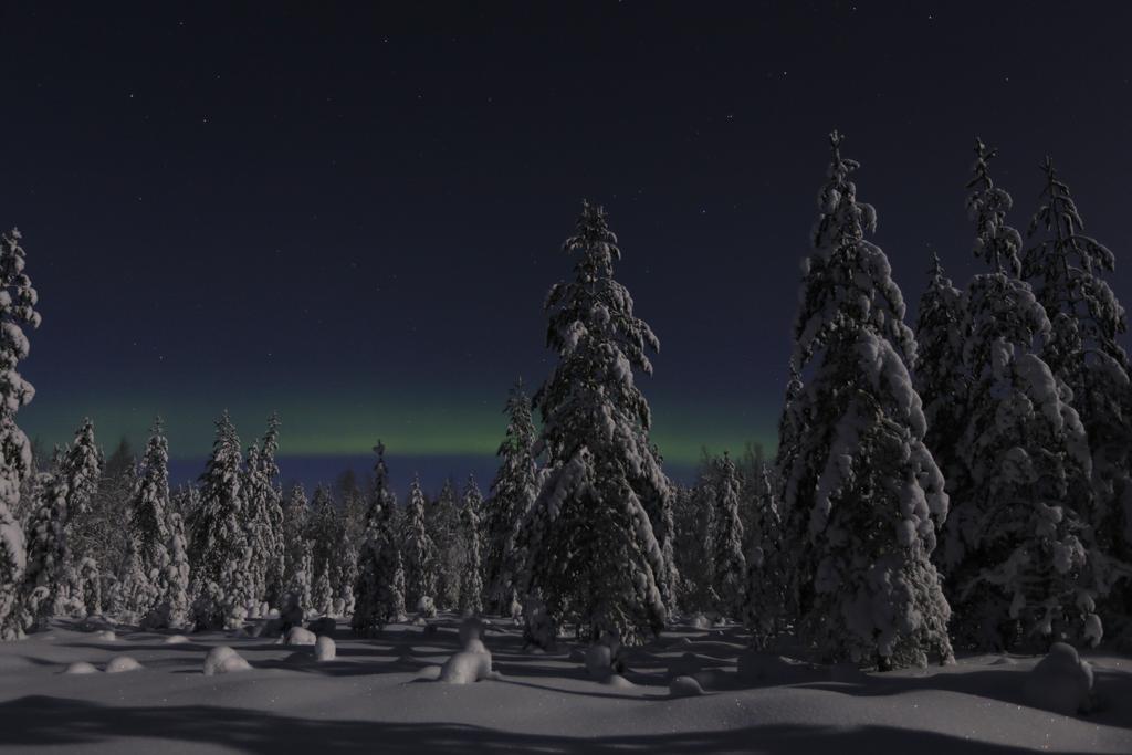 Lapland Northern Lights Hotel Ilveslinna رانوا المظهر الخارجي الصورة
