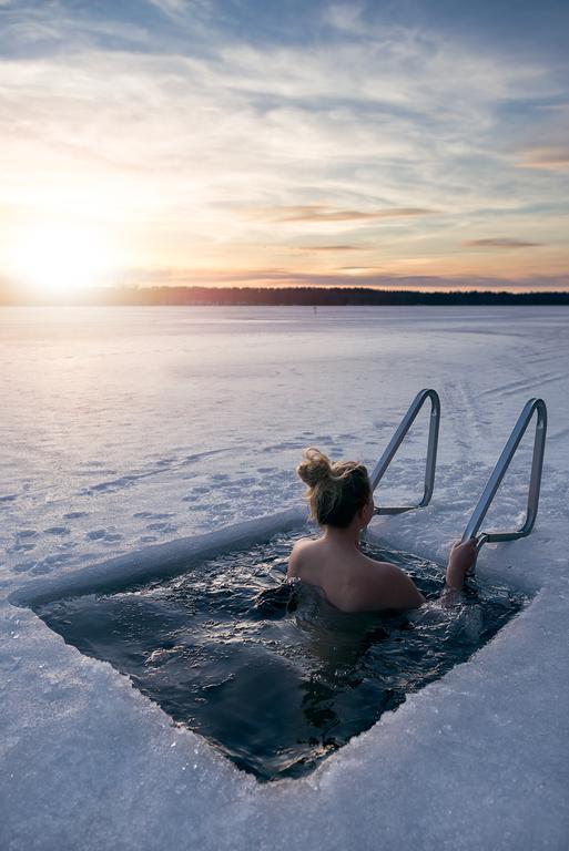 Lapland Northern Lights Hotel Ilveslinna رانوا المظهر الخارجي الصورة