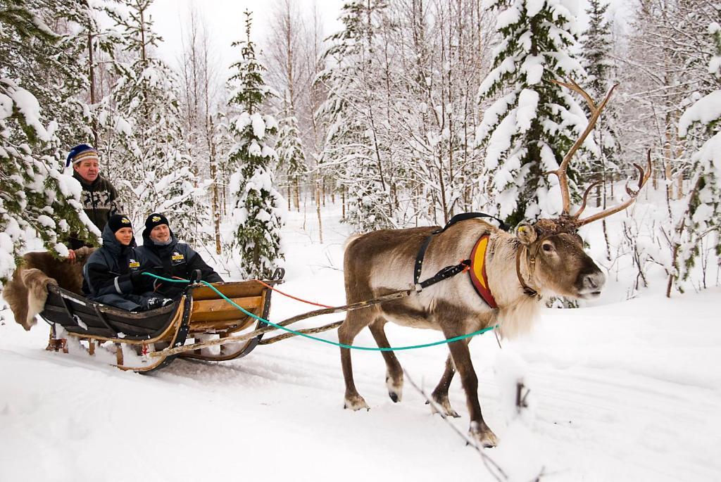 Lapland Northern Lights Hotel Ilveslinna رانوا المظهر الخارجي الصورة