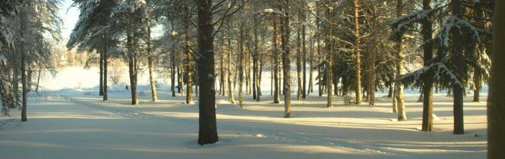Lapland Northern Lights Hotel Ilveslinna رانوا المظهر الخارجي الصورة