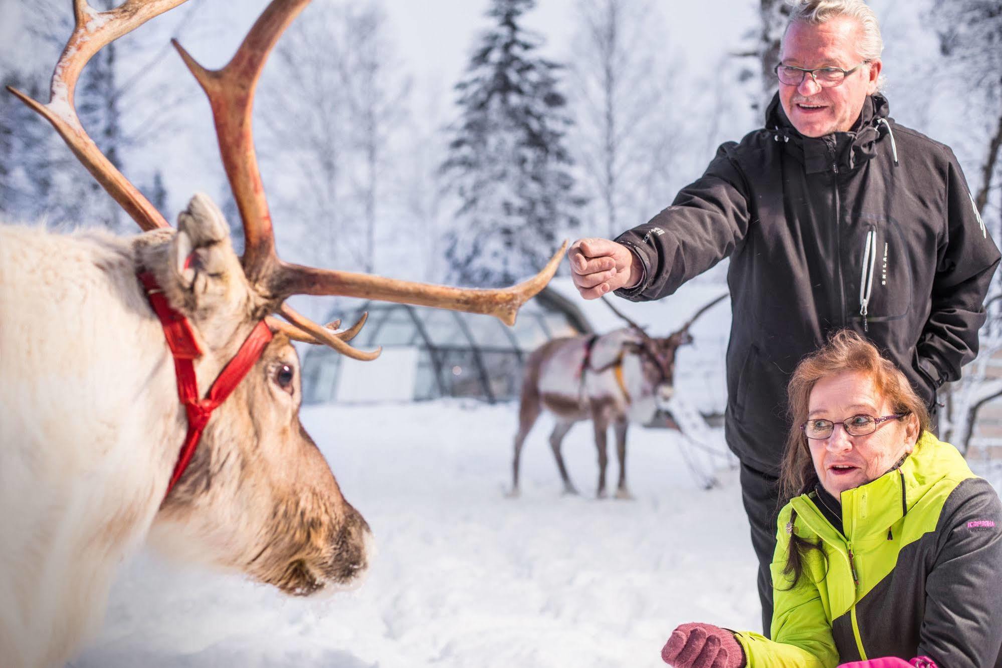 Lapland Northern Lights Hotel Ilveslinna رانوا المظهر الخارجي الصورة